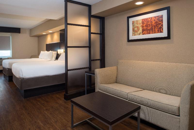 适合残疾人士使用的套间, Holiday Inn Express & Suites San Antonio Medical Center North, An Ihg
