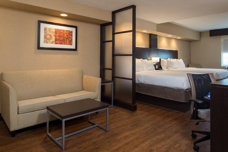 带大床的套房, Holiday Inn Express & Suites San Antonio Medical Center North, An Ihg