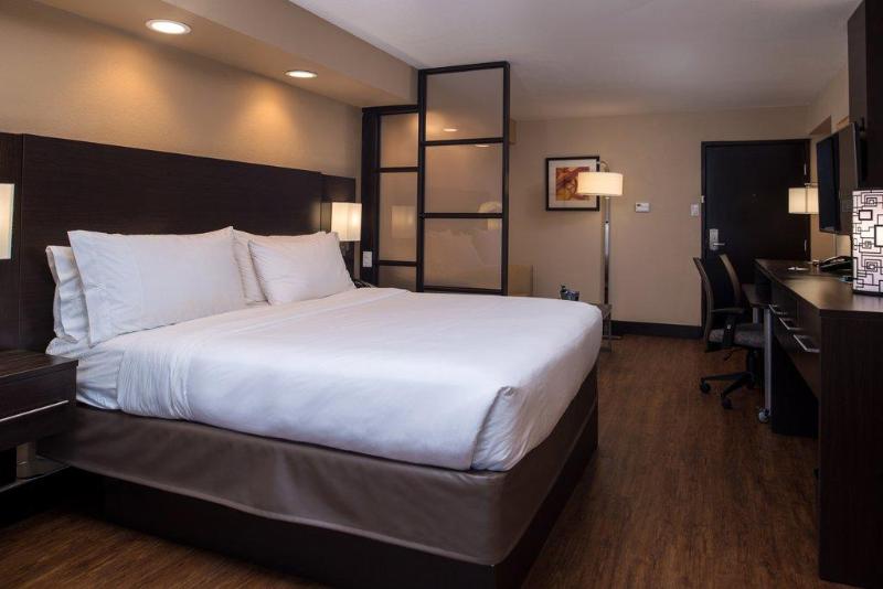 带大床的套房, Holiday Inn Express & Suites San Antonio Medical Center North, An Ihg