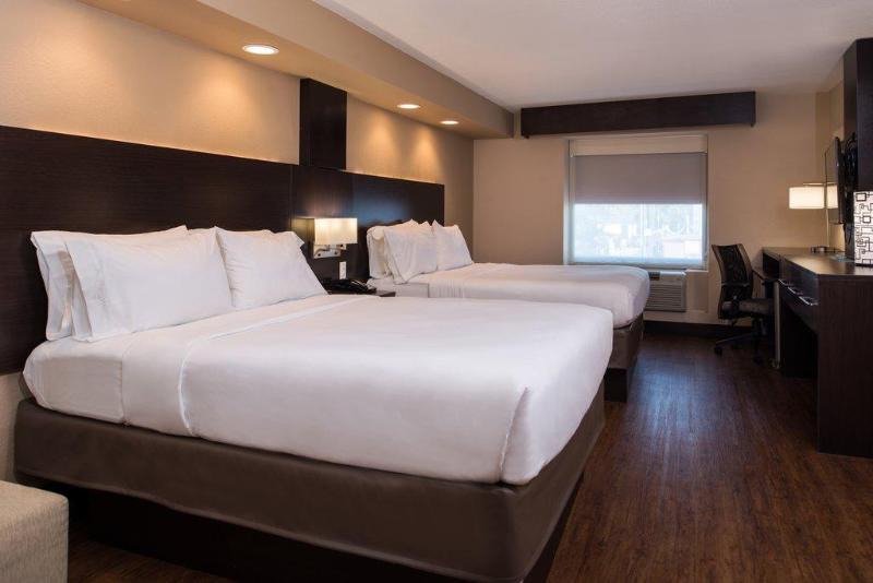 适合残疾人士使用的套间, Holiday Inn Express & Suites San Antonio Medical Center North, An Ihg