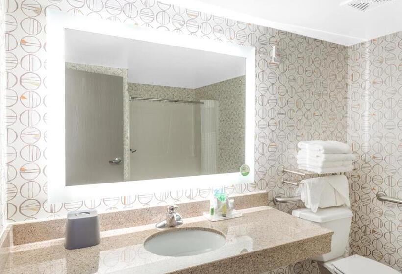 Quarto Standard Cama King para Deficientes, Holiday Inn Rockford, An Ihg