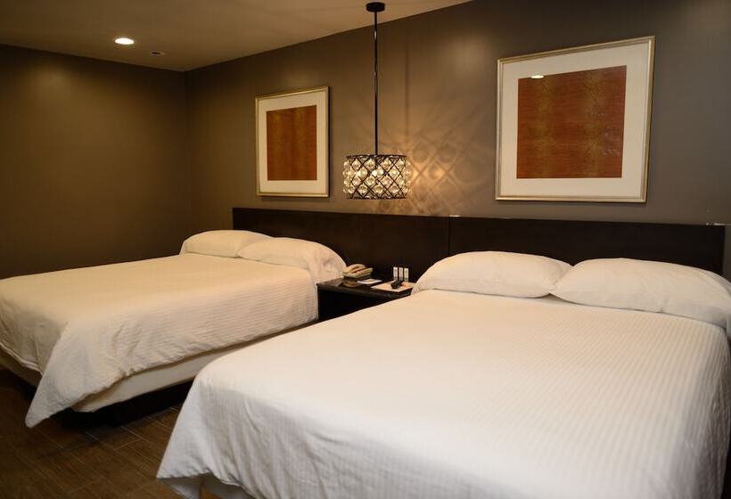 Номер Deluxe, Le Reve Pasadena
