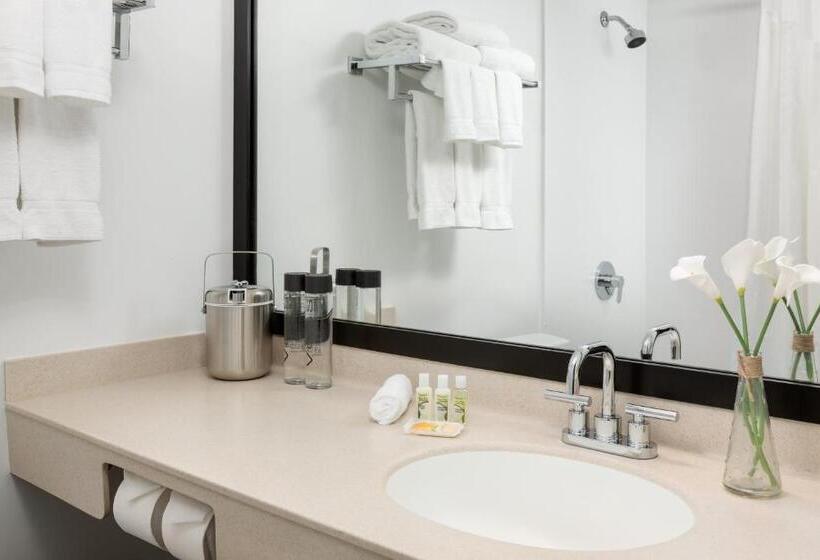 Стандартный Номер Кровать Кинг, Studio Allston Hotel Boston