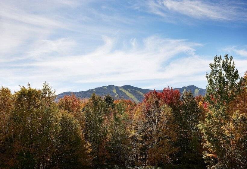 اتاق استاندارد با تخت دوبل, Killington Mountain Lodge, Tapestry Collection By Hilton