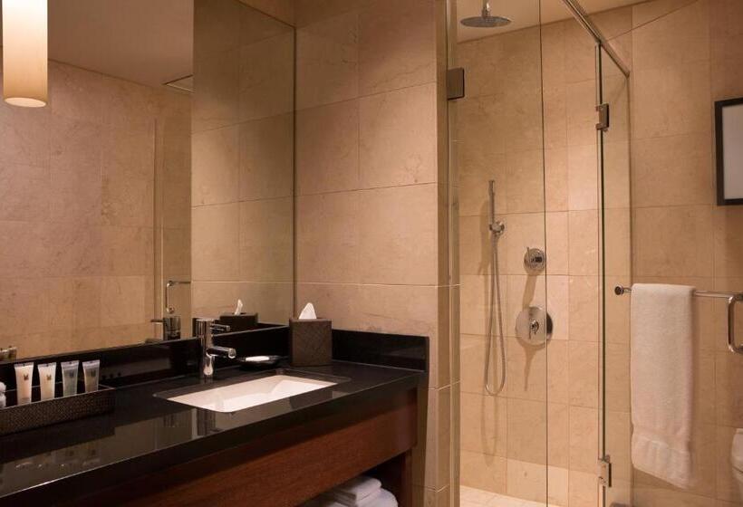 سوییت خانوادگی, Millennium Knickerbocker Chicago