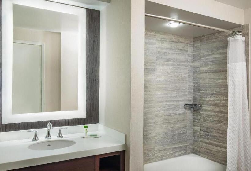 스탠다드 도시전망 룸, Courtyard By Marriott Boston Downtown