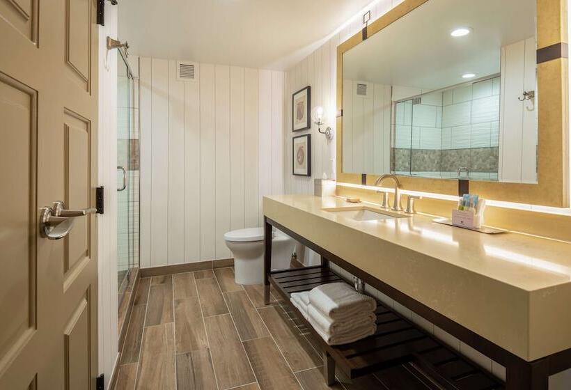 Полулюкс, Doubletree By Hilton Hotel Missoula   Edgewater