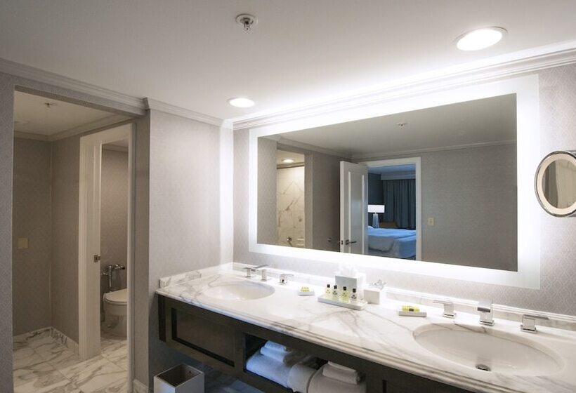 Premium room with view, Intercontinental Kansas City At The Plaza, An Ihg