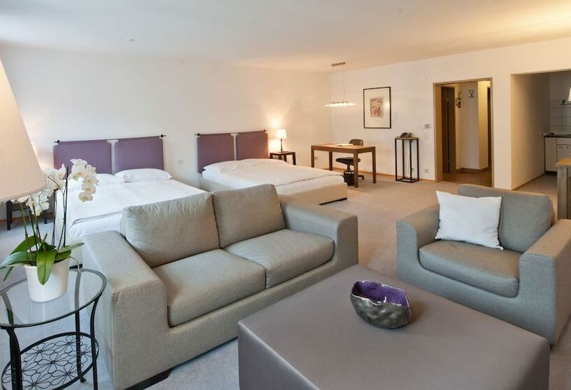 Номер Deluxe, Forstinger   Boutique Hotel Schärding