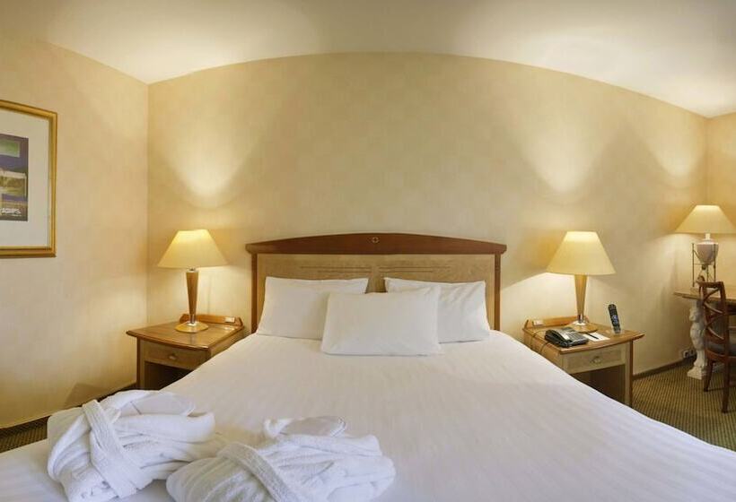 اتاق استاندارد, Millennium Hotel Paris Charles De Gaulle