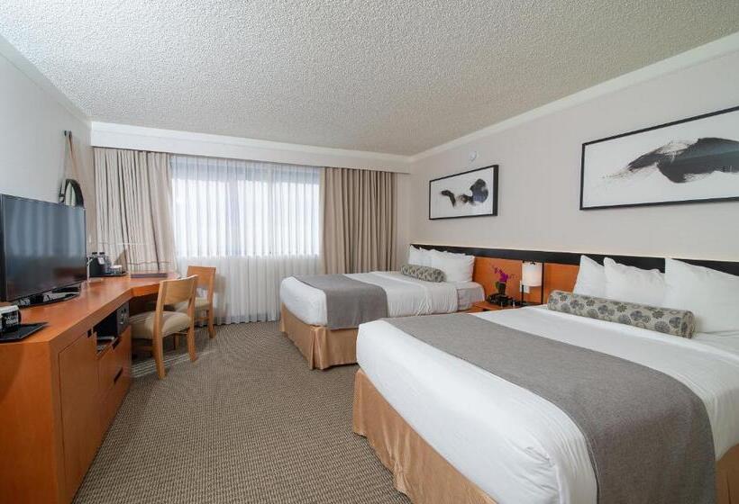 Номер Superior, Miyako Hotel Los Angeles
