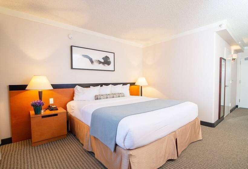 Номер Superior, Miyako Hotel Los Angeles