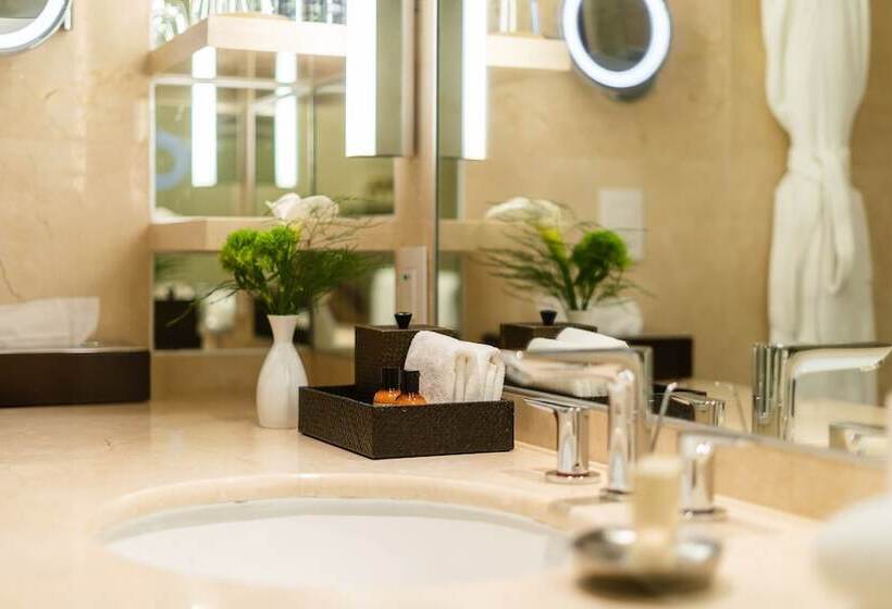 公園の見えるスタンダードルーム, Hyatt Regency Mexico City