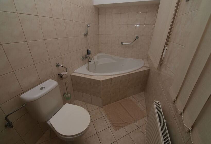 Номер Стандарт Трехместный, Holiday Hotel Macocha