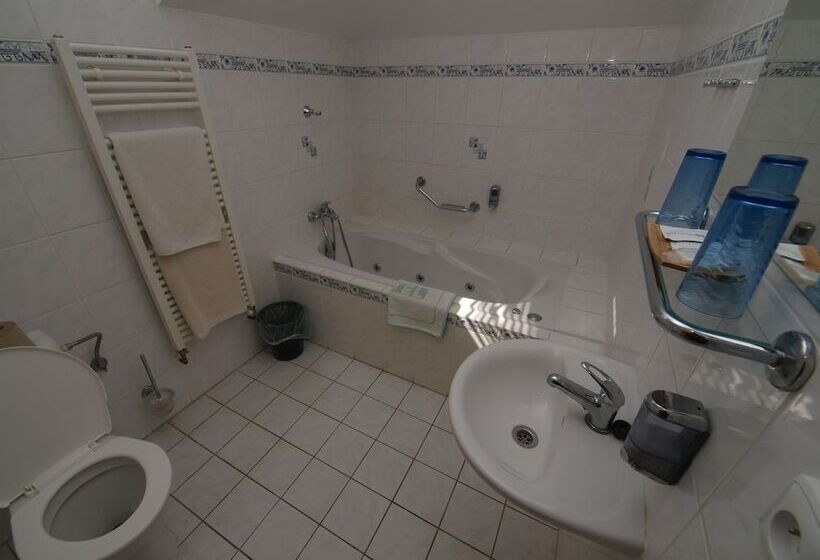 Номер Deluxe, Holiday Hotel Macocha