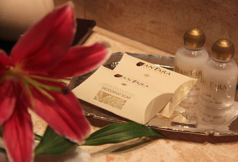 سوییت اجرایی, Antara Hotel & Suites   Miraflores