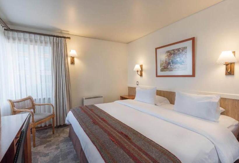 Номер Superior, Don Luis Puerto Montt