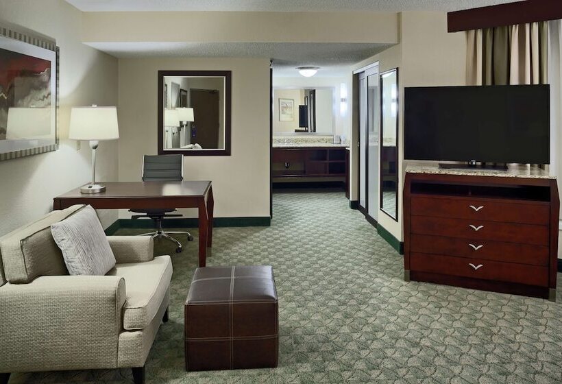 Полулюкс, Doubletree By Hilton San Antonio Downtown