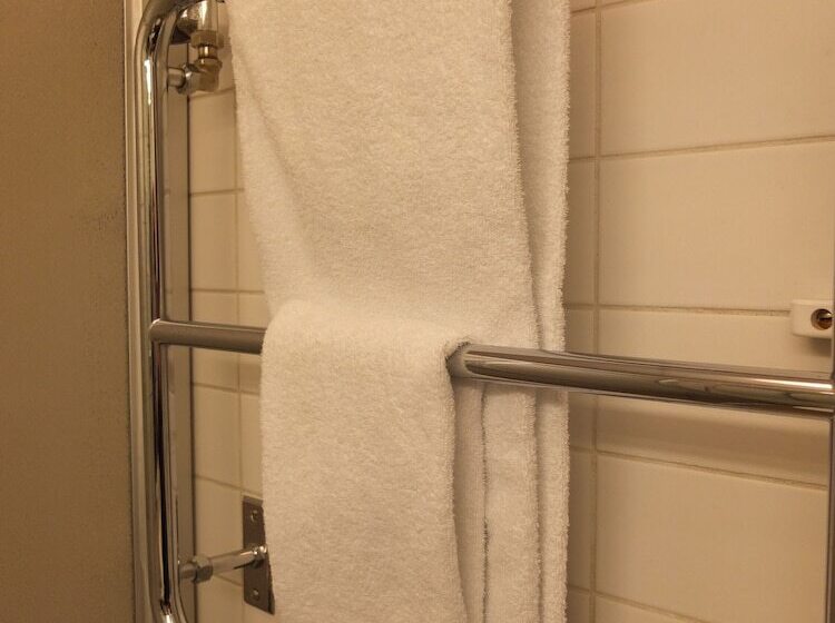 اتاق سوپریور یک تخته, Furunäset Hotell & Konferens