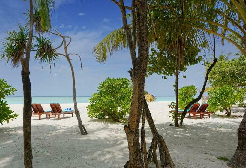ویلای 1 خوابه, Villa Park Sun Island Resort
