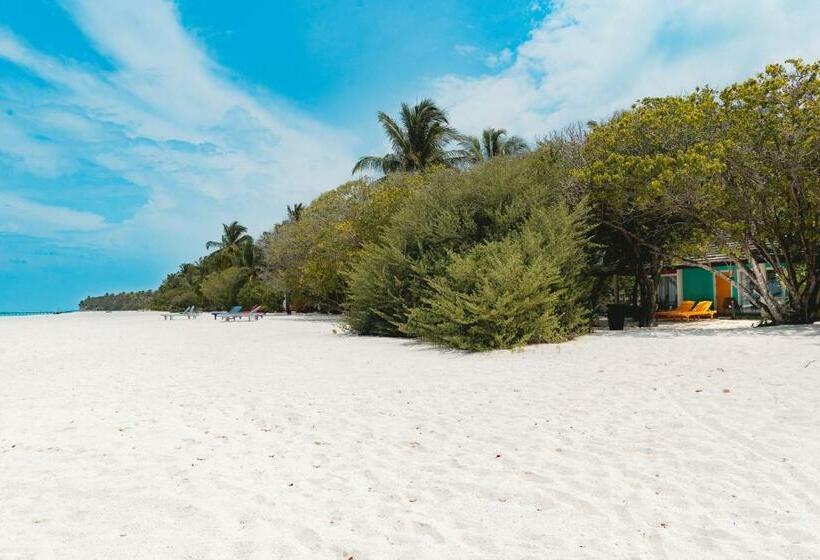 ویلای 1 خوابه, Villa Park Sun Island Resort