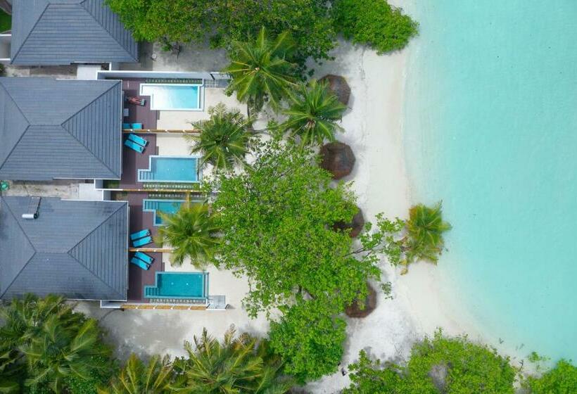 ویلای یک اتاق خوابه با استخر شنا, Villa Park Sun Island Resort