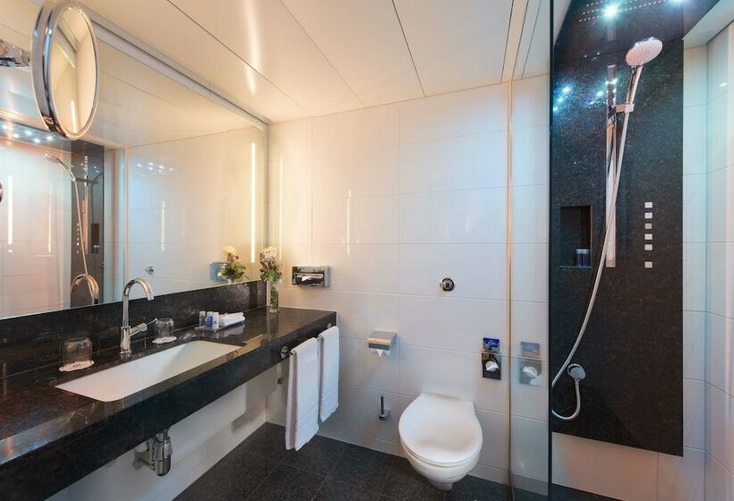 اتاق راحتی یک تخته, Maritim Hotel Stuttgart