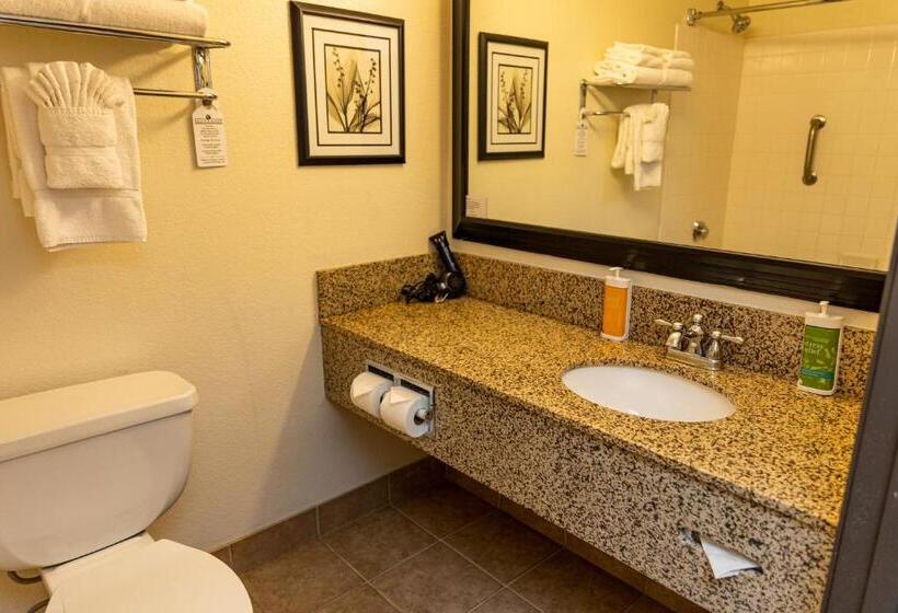 이그제큐티브 룸 킹사이즈 침대, Lake Natoma Inn