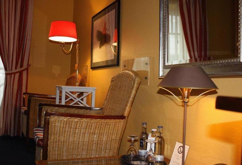 آپارتمان 2 خوابه, Np Hotel Schweriner Hof