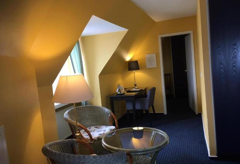 آپارتمان 1 خوابه با چشم‌انداز جانبی دریا, Np Hotel Schweriner Hof