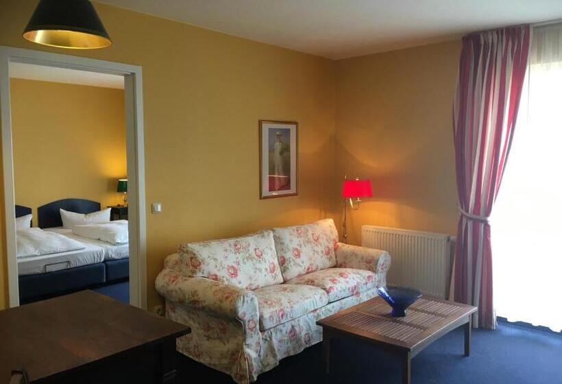 آپارتمان 1 خوابه با بالکن, Np Hotel Schweriner Hof