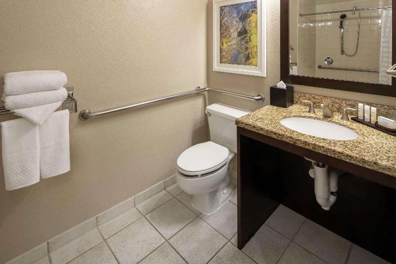 带大床的套房, Embassy Suites By Hilton Seattle Tacoma International Airport