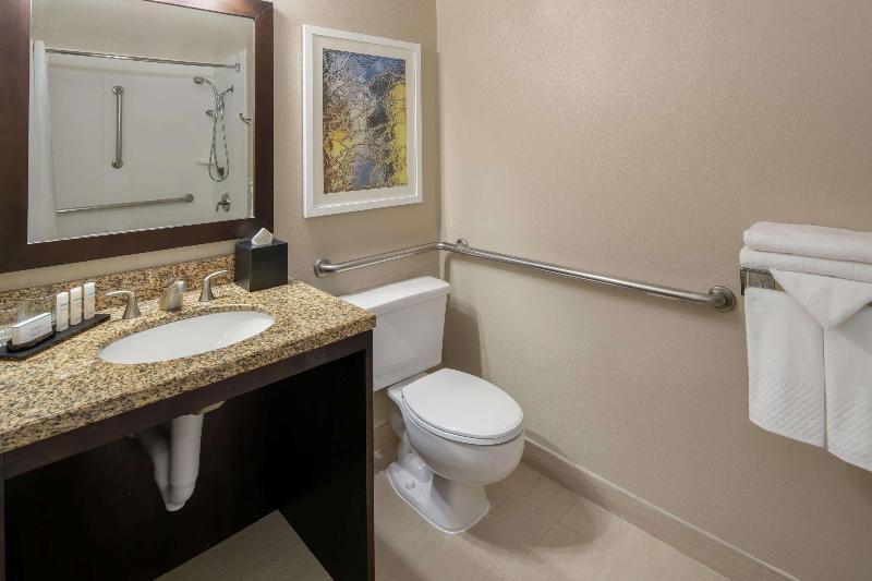 带大床的套房, Embassy Suites By Hilton Seattle Tacoma International Airport