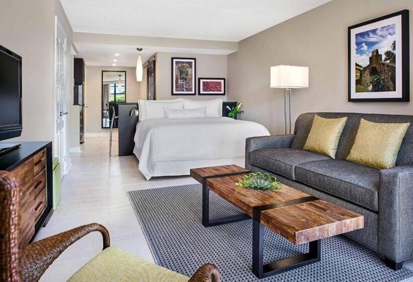 استودیو استاندارد با تخت کینگ, The Westin St. John Resort Villas