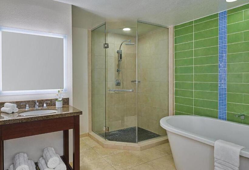 آپارتمان 2 خوابه با بالکن, The Westin St. John Resort Villas