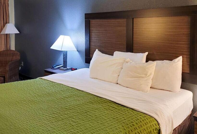 스탠다드 룸 킹사이즈 침대, Americas Best Value Inn Grayson