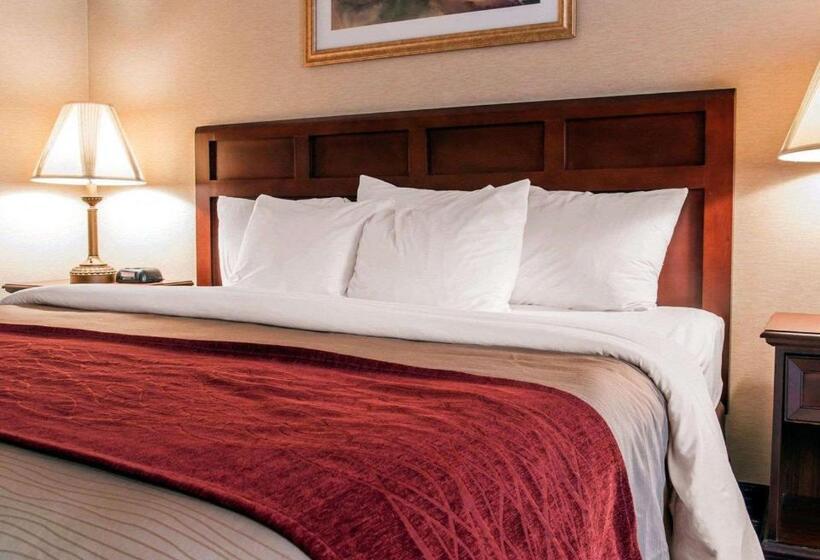 Стандартный Номер Кровать Кинг, Comfort Inn Livonia