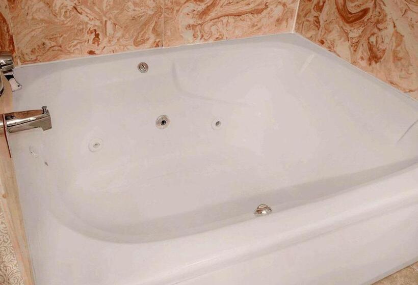 Номер Стандарт, Comfort Inn Livonia