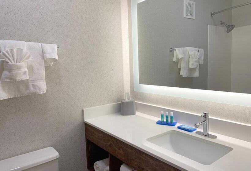 带大床的标准间, Holiday Inn Express Danville, An Ihg