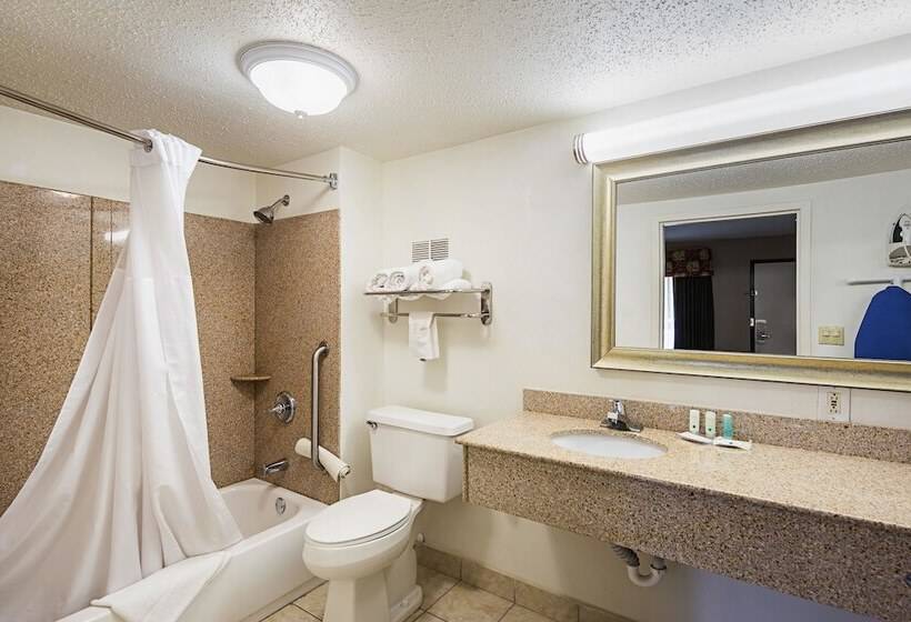 스위트, Quality Inn & Suites Greenville   Haywood Mall