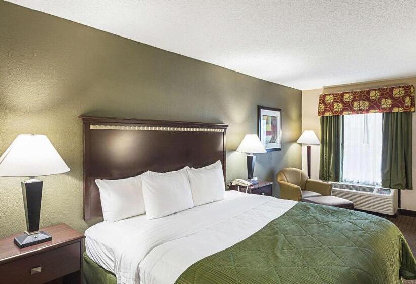 스탠다드 룸 킹사이즈 침대, Quality Inn & Suites Greenville   Haywood Mall