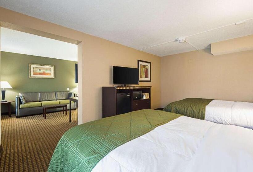 스위트, Quality Inn & Suites Greenville   Haywood Mall