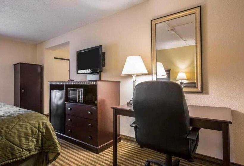 스위트 킹사이즈 침대, Quality Inn & Suites Greenville   Haywood Mall