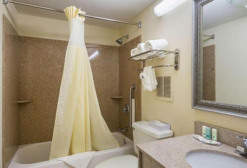 장애인을 위한 킹사이즈 침대 스탠다드 룸, Quality Inn & Suites Greenville   Haywood Mall