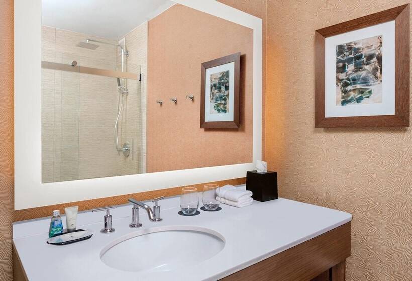Номер Премиум, The Westin Crystal City Reagan National Airport