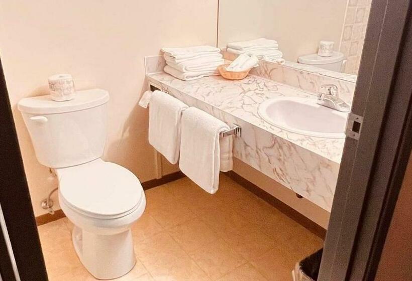 اتاق لوکس یک تخته, Airport Inn