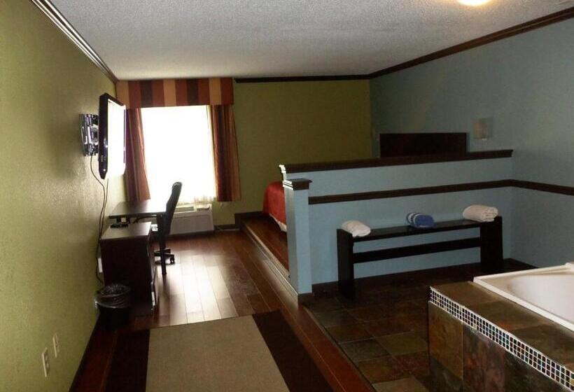 스탠다드 룸 킹사이즈 침대, Araamda Inn