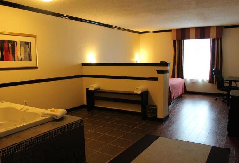 스탠다드 룸 킹사이즈 침대, Araamda Inn