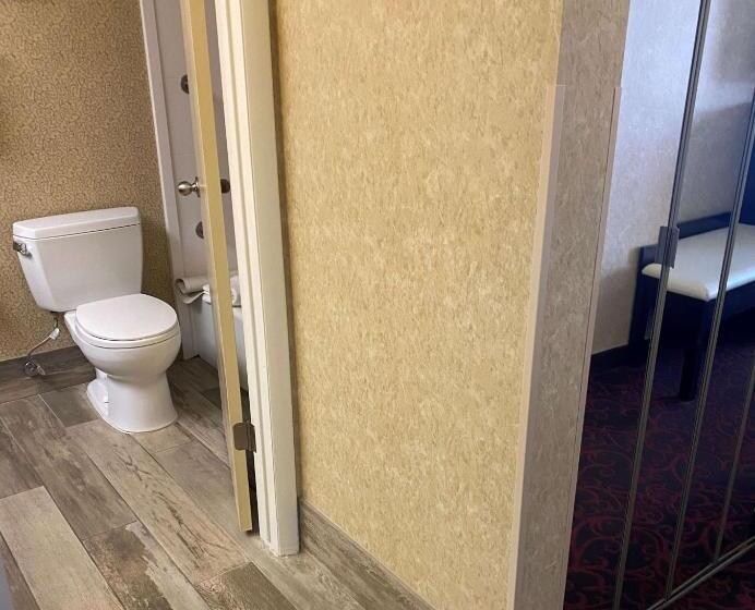 اتاق استاندارد با تخت بزرگ, Best Western Coral Hills