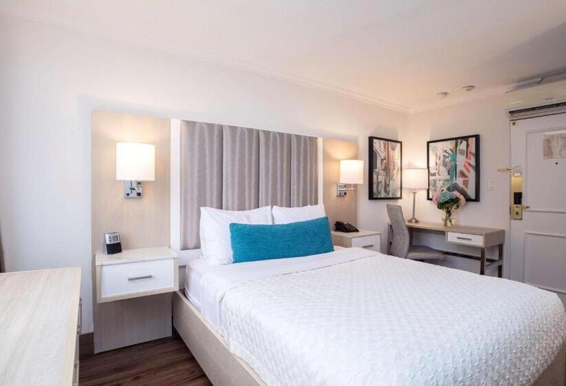 标准间, Best Western Dorchester